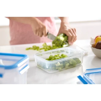 Tefal Masterseal Plastic Container Rectangle 10.8L