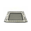 Nadstar Tray 201306141