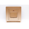 Tronic 45A Double Pole Switch