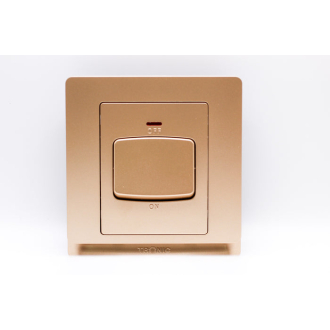 Tronic 45A Double Pole Switch