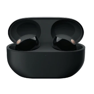 Sony Wireless Earbuds The Best Truly Noise Canceling Adaptive Sound Control with AI Black WF-1000XM5