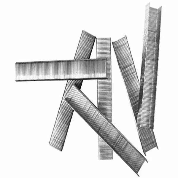 Ingco Staple Pins 12Mm 1000Pcs Sts0212 1 Ingco Staple Pins 12Mm 1000Pcs Sts0212