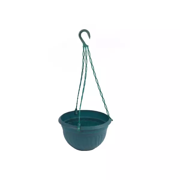 Cello Hanging Planter Large Multi-Color 230 X 500Mm (Pack Of 6) 1 Cello Hanging Planter Large Multi-Color 230 X 500Mm (Pack Of 6)