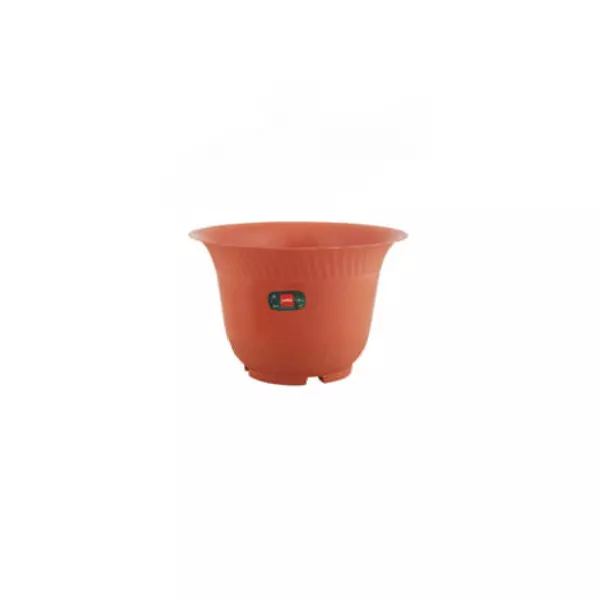 Cello Planter 3 Multi-Color 233 X 150Mm (Pack Of 12) 1 Cello Planter 3 Multi-Color 233 X 150Mm (Pack Of 12)