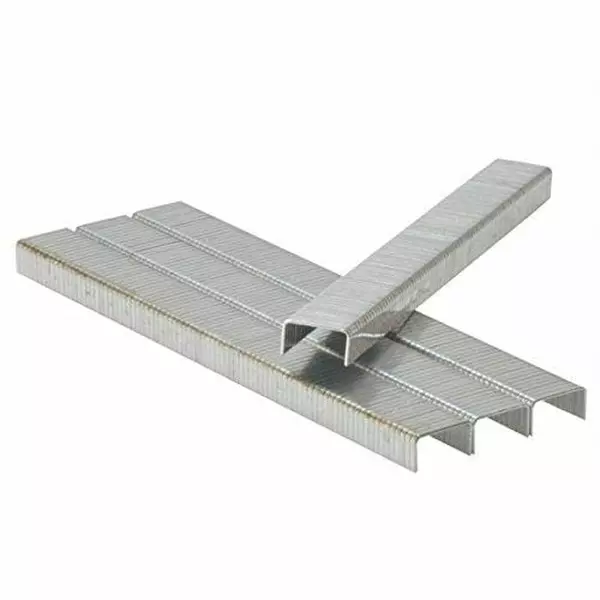 Ingco Staple Pins 10Mm 1000Pcs Sts 0110 1 Ingco Staple Pins 10Mm 1000Pcs Sts 0110